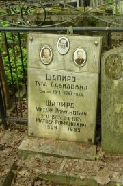 Шапиро Туба Давидовна, Москва, Востряковское кладбище
